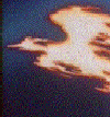 God Phoenix.gif (13267 bytes)